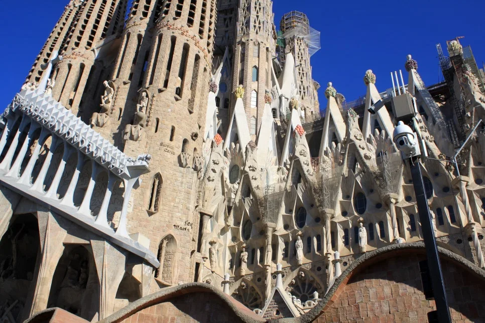 %EA%BE%B8%EB%AF%B8%EA%B8%B0IMG_7165.JPG?type=w966