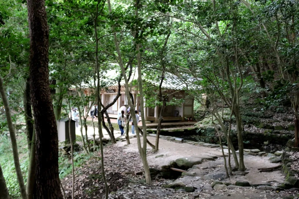 %EA%BE%B8%EB%AF%B8%EA%B8%B0IMG_6397.JPG?type=w966