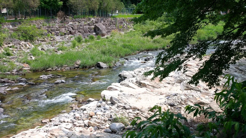 %EA%BE%B8%EB%AF%B8%EA%B8%B0%EA%BE%B8%EB%AF%B8%EA%B8%B0SAM_0078.JPG?type=w966