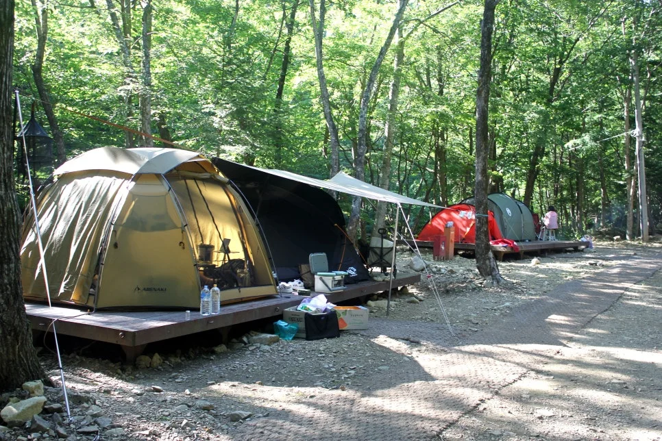 %EA%BE%B8%EB%AF%B8%EA%B8%B0%EA%BE%B8%EB%AF%B8%EA%B8%B0IMG_8625.JPG?type=w966