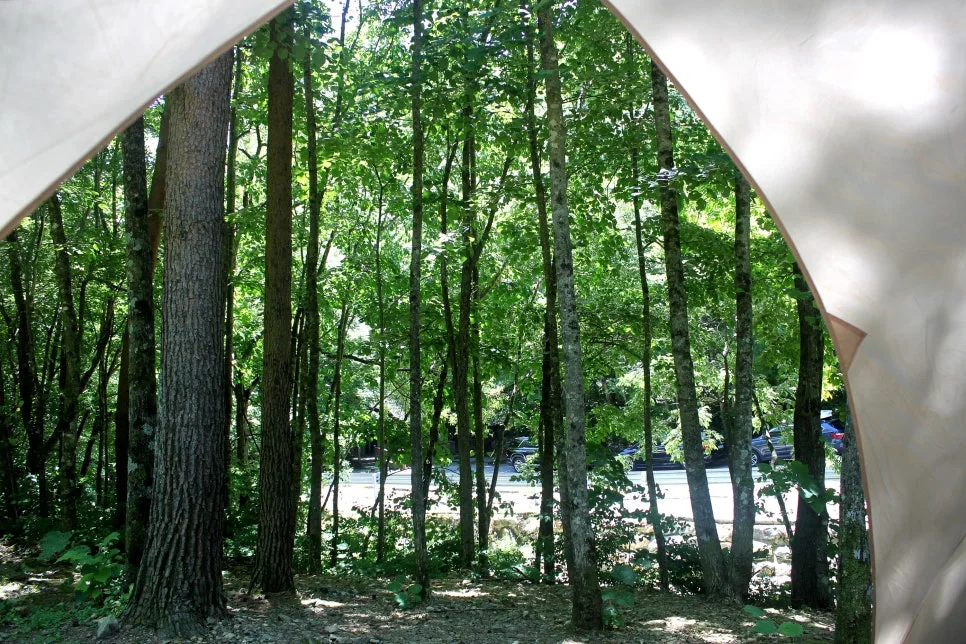 %EA%BE%B8%EB%AF%B8%EA%B8%B0%EA%BE%B8%EB%AF%B8%EA%B8%B0IMG_8595.JPG?type=w966