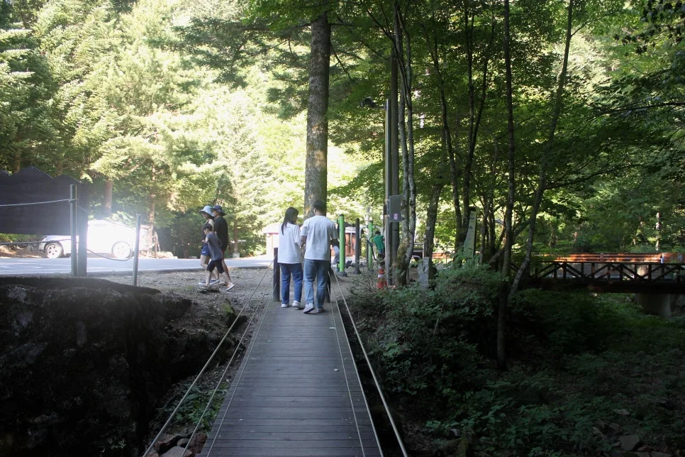 %EA%BE%B8%EB%AF%B8%EA%B8%B0%EA%BE%B8%EB%AF%B8%EA%B8%B0IMG_8644.JPG?type=w966