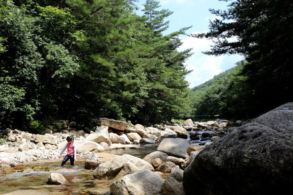 img.jpg?credential=yqXZFxpELC7KVnFOS48ylbz2pIh7yKj8&expires=1756652399&allow_ip=&allow_referer=&signature=Q8rHnEmg2E77O6SL55zY569g7K8%3D