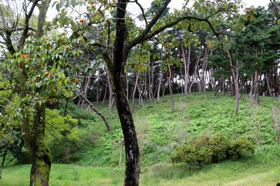 9c2401fa15bff79e5c372ccd0fb2fb1914d9e592