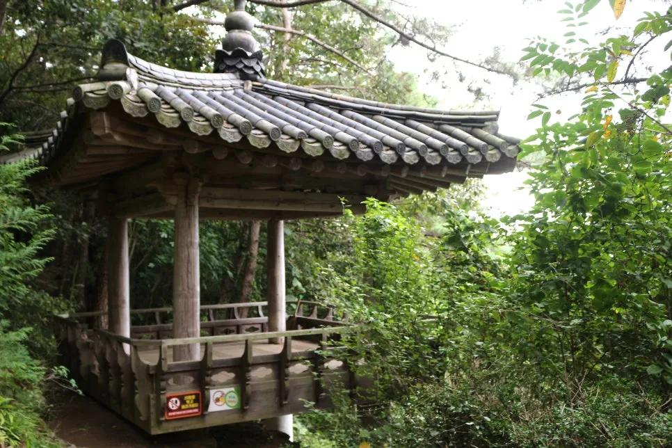 %EA%BE%B8%EB%AF%B8%EA%B8%B0IMG_6387.JPG?type=w966