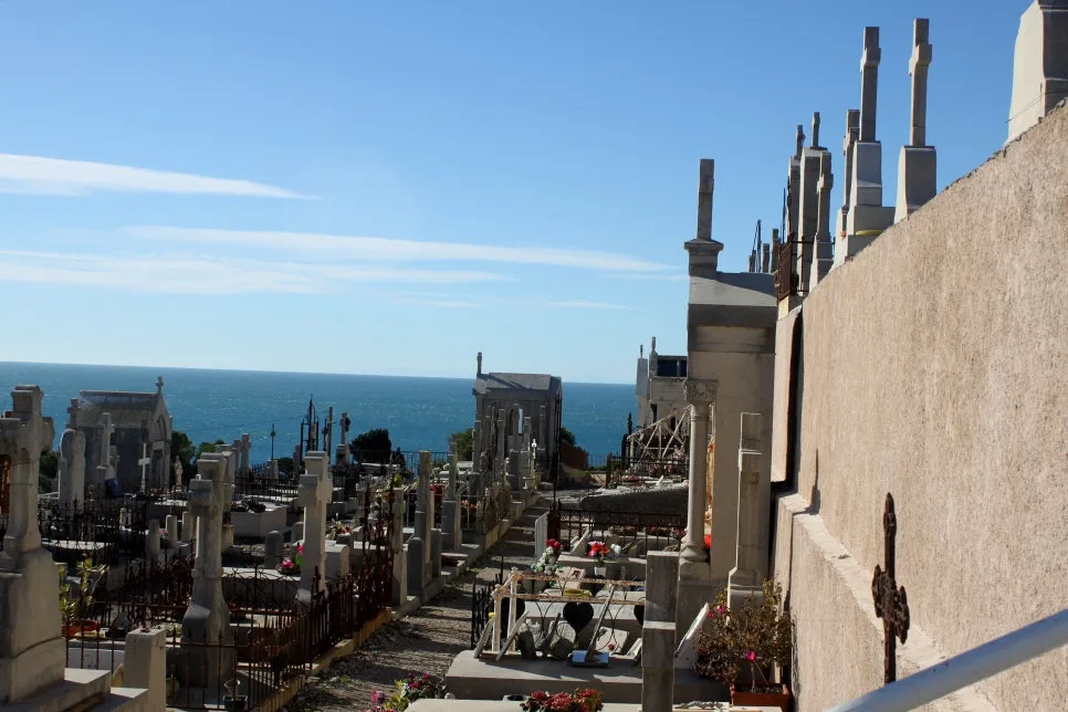 IMG_6650%EC%88%98%EC%A0%95.JPG?type=w966