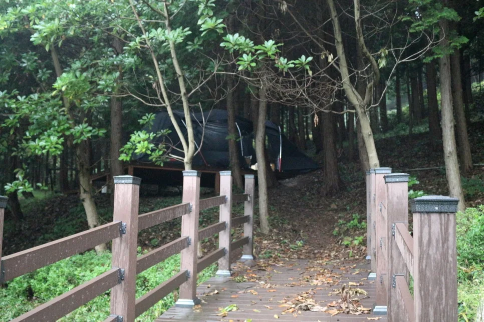 %EA%BE%B8%EB%AF%B8%EA%B8%B0IMG_6411.JPG?type=w966