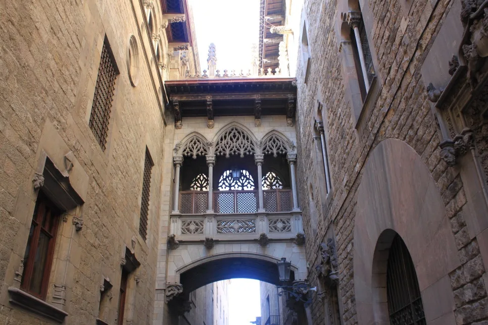 %EA%BE%B8%EB%AF%B8%EA%B8%B0IMG_7311.JPG?type=w966