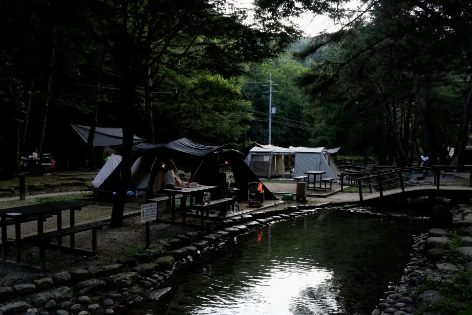 %EA%BE%B8%EB%AF%B8%EA%B8%B0%EA%BE%B8%EB%AF%B8%EA%B8%B0IMG_6146.JPG?type=w966