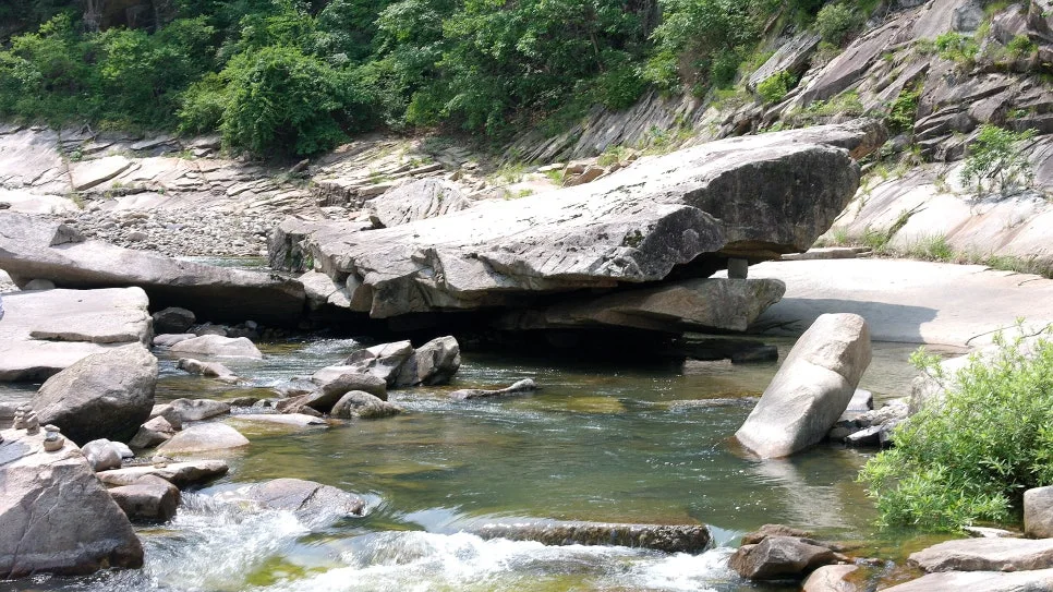 %EA%BE%B8%EB%AF%B8%EA%B8%B0%EA%BE%B8%EB%AF%B8%EA%B8%B0SAM_0092.JPG?type=w966