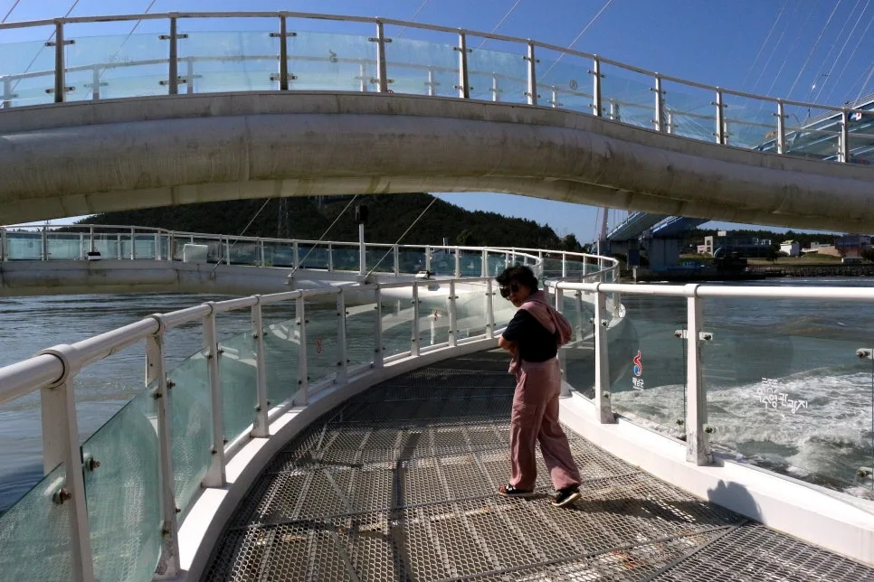 %EA%BE%B8%EB%AF%B8%EA%B8%B0IMG_6959.JPG?type=w966