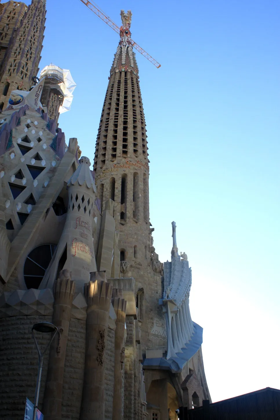 %EA%BE%B8%EB%AF%B8%EA%B8%B0IMG_7154.JPG?type=w966