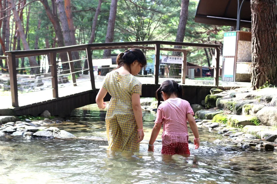 %EA%BE%B8%EB%AF%B8%EA%B8%B0IMG_6099.JPG?type=w966