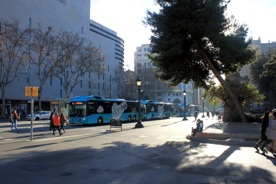 %EA%BE%B8%EB%AF%B8%EA%B8%B0IMG_6843.JPG?type=w966