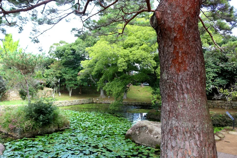 %EA%BE%B8%EB%AF%B8%EA%B8%B0%EA%BE%B8%EB%AF%B8%EA%B8%B0IMG_6586.JPG?type=w966