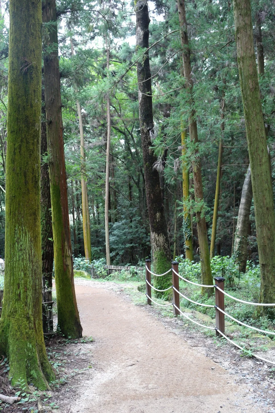 %EA%BE%B8%EB%AF%B8%EA%B8%B0IMG_6377.JPG?type=w966