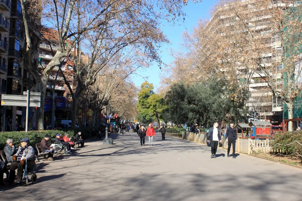 %EA%BE%B8%EB%AF%B8%EA%B8%B0IMG_7176.JPG?type=w966