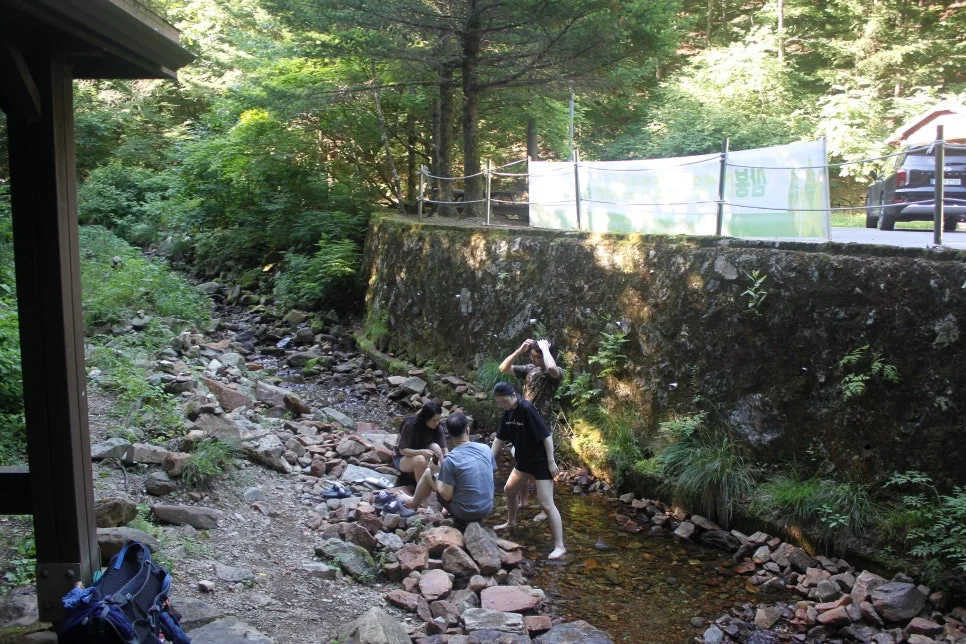 %EA%BE%B8%EB%AF%B8%EA%B8%B0%EA%BE%B8%EB%AF%B8%EA%B8%B0IMG_8645.JPG?type=w966