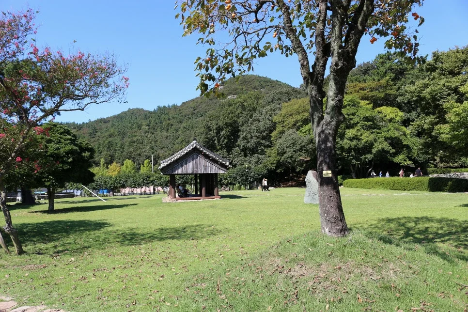 %EA%BE%B8%EB%AF%B8%EA%B8%B0IMG_7016.JPG?type=w966