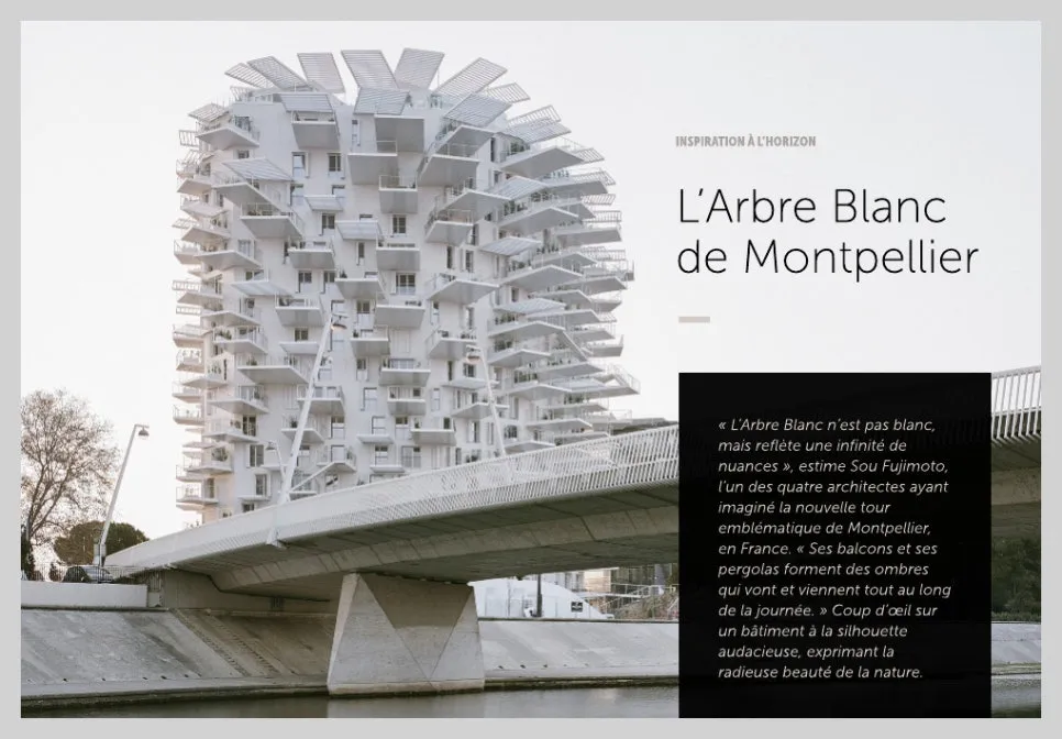 fe373aee76c2_0.jpg?type=w966