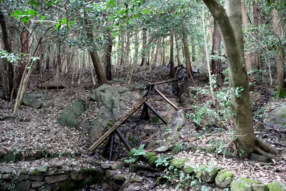 %EA%BE%B8%EB%AF%B8%EA%B8%B0IMG_6399.JPG?type=w966