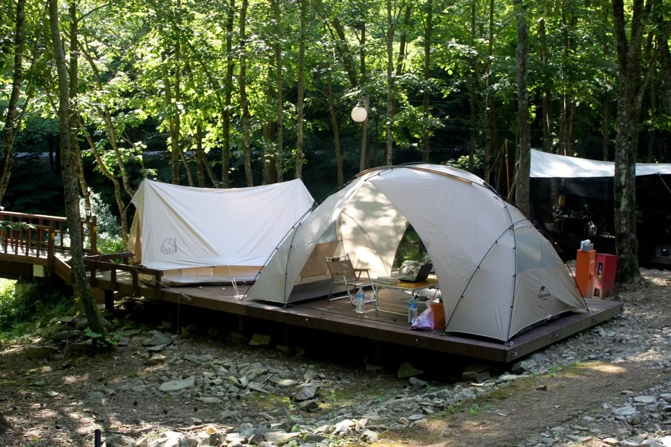 %EA%BE%B8%EB%AF%B8%EA%B8%B0%EA%BE%B8%EB%AF%B8%EA%B8%B0IMG_8621.JPG?type=w966