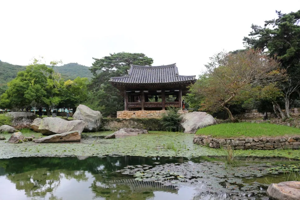 %EA%BE%B8%EB%AF%B8%EA%B8%B0%EA%BE%B8%EB%AF%B8%EA%B8%B0IMG_6622.JPG?type=w966