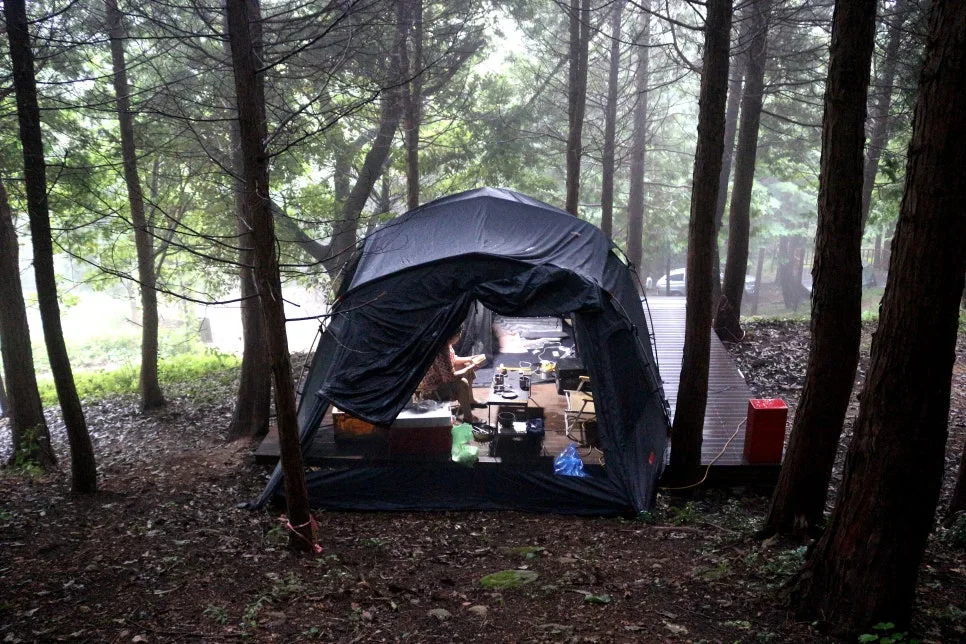 %EA%BE%B8%EB%AF%B8%EA%B8%B0IMG_6429.JPG?type=w966