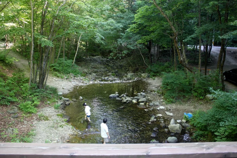 %EA%BE%B8%EB%AF%B8%EA%B8%B0%EA%BE%B8%EB%AF%B8%EA%B8%B0IMG_8630.JPG?type=w966