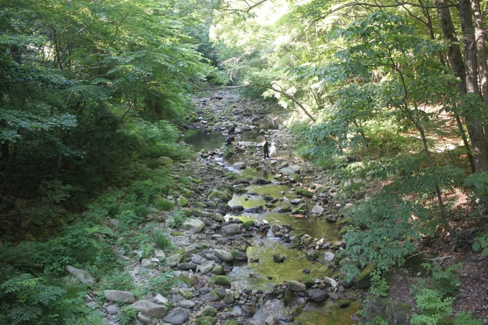 %EA%BE%B8%EB%AF%B8%EA%B8%B0%EA%BE%B8%EB%AF%B8%EA%B8%B0IMG_8629.JPG?type=w966