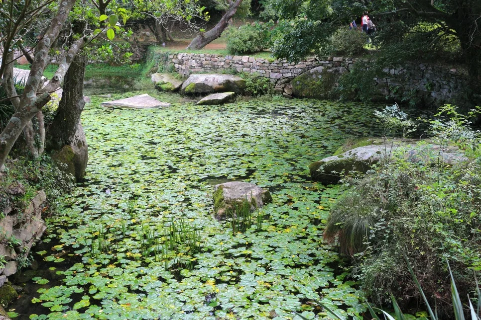 %EA%BE%B8%EB%AF%B8%EA%B8%B0%EA%BE%B8%EB%AF%B8%EA%B8%B0IMG_6579.JPG?type=w966