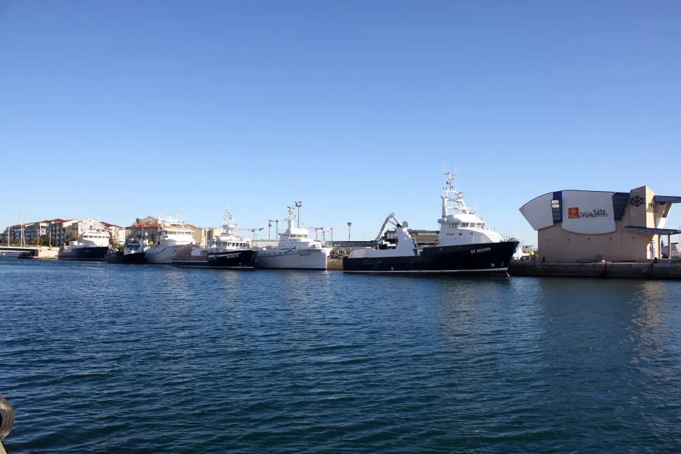 IMG_6605%EC%88%98%EC%A0%95.JPG?type=w966