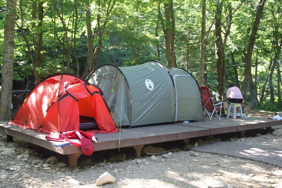 %EA%BE%B8%EB%AF%B8%EA%B8%B0%EA%BE%B8%EB%AF%B8%EA%B8%B0IMG_8626.JPG?type=w966