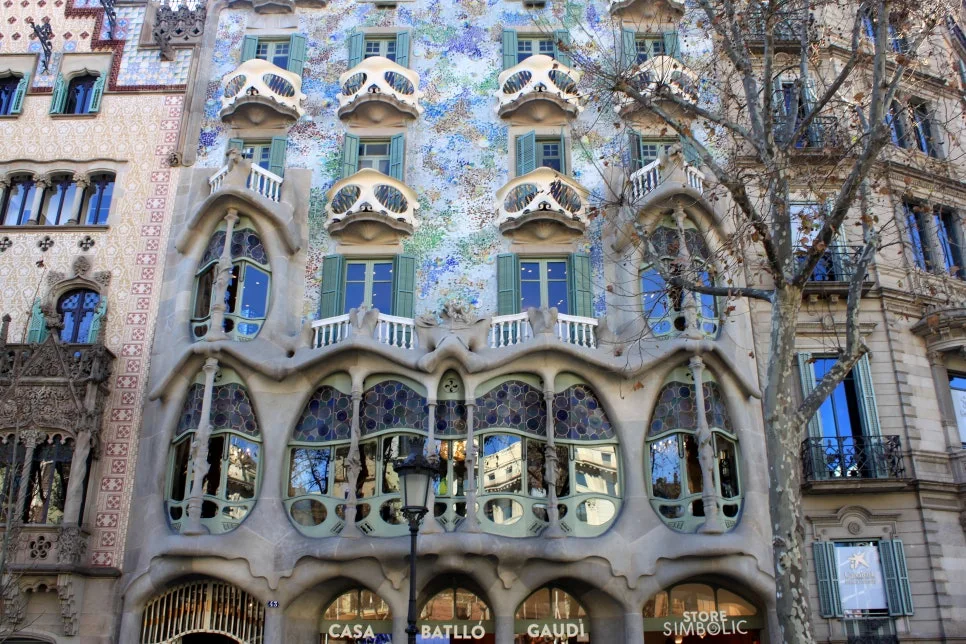 %EA%BE%B8%EB%AF%B8%EA%B8%B0IMG_7218.JPG?type=w966