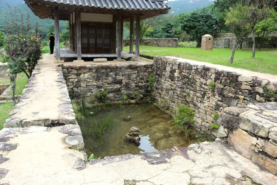 %EA%BE%B8%EB%AF%B8%EA%B8%B0%EA%BE%B8%EB%AF%B8%EA%B8%B0IMG_6643.JPG?type=w966