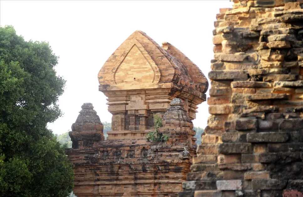 R2jN8KL.jpg?type=w966