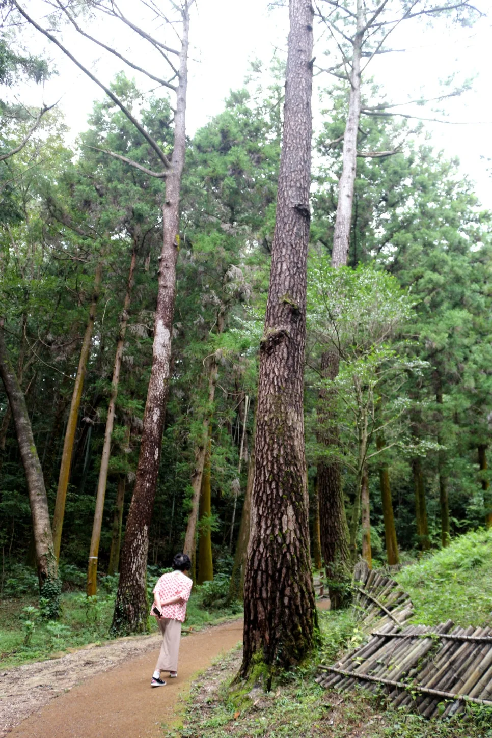 %EA%BE%B8%EB%AF%B8%EA%B8%B0IMG_6372.JPG?type=w966