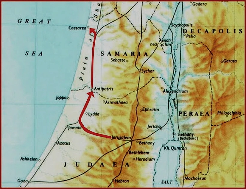 %EA%BE%B8%EB%AF%B8%EA%B8%B0unnamed_(4).jpg?type=w966