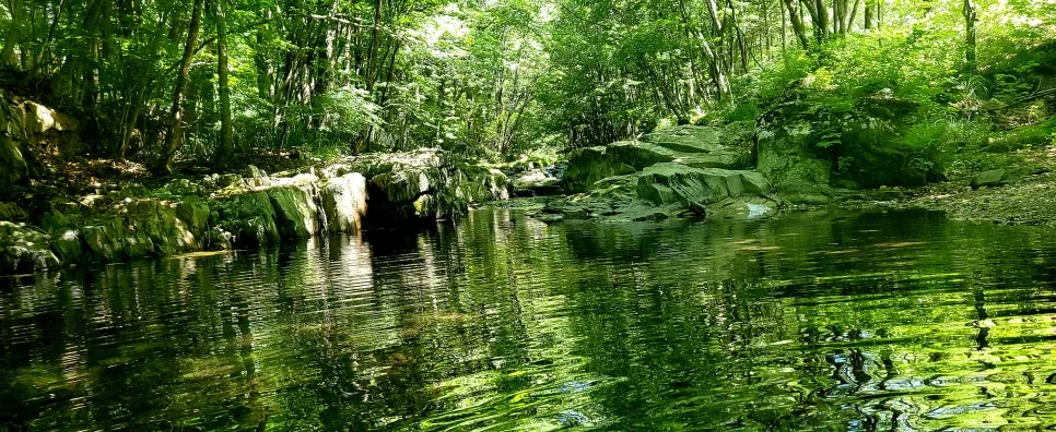 %EA%BE%B8%EB%AF%B8%EA%B8%B0%EA%BE%B8%EB%AF%B8%EA%B8%B020250712_104442.jpg?type=w966