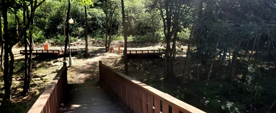 %EA%BE%B8%EB%AF%B8%EA%B8%B0%EA%BE%B8%EB%AF%B8%EA%B8%B020250712_104122.jpg?type=w966