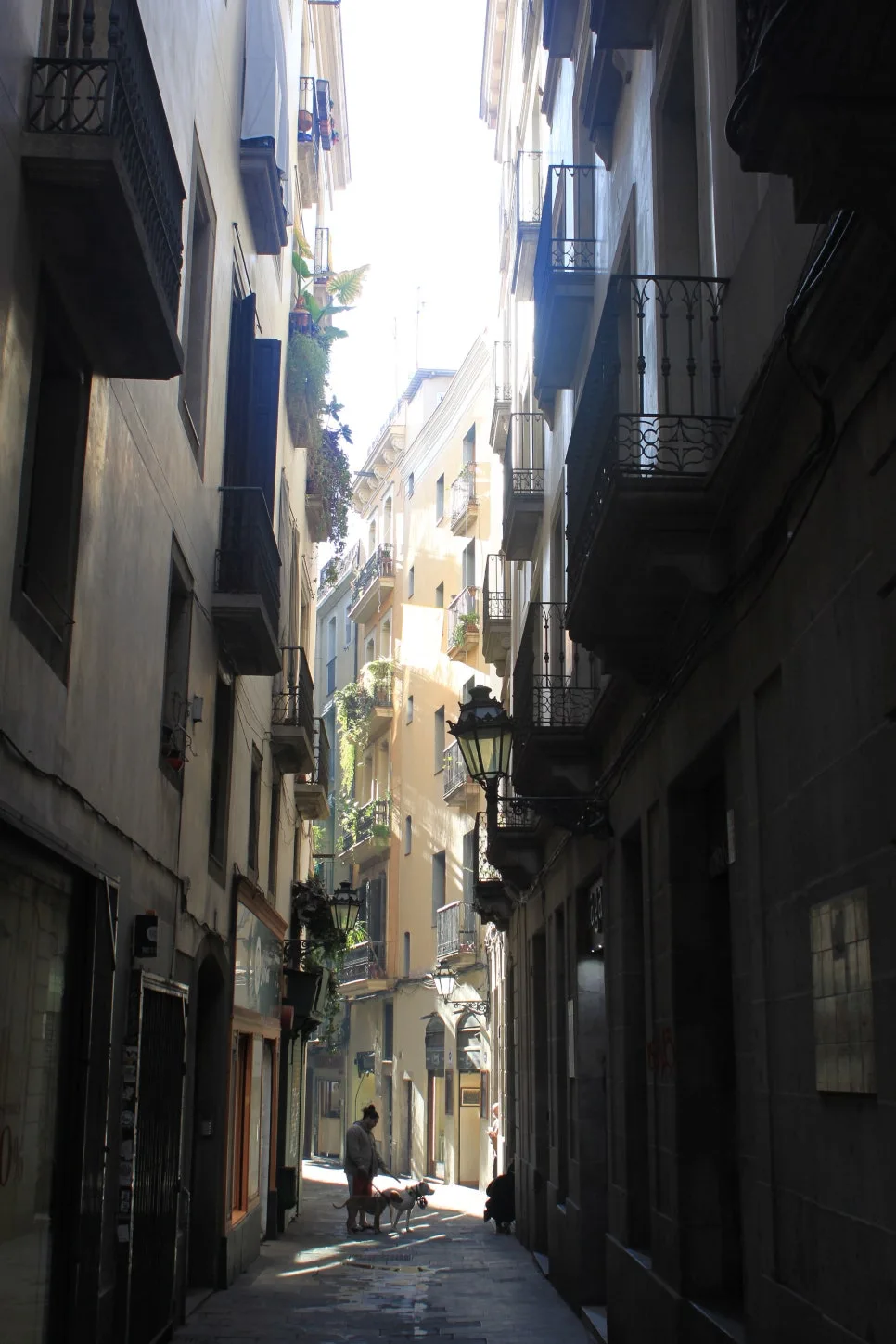 %EA%BE%B8%EB%AF%B8%EA%B8%B0IMG_6868.JPG?type=w966