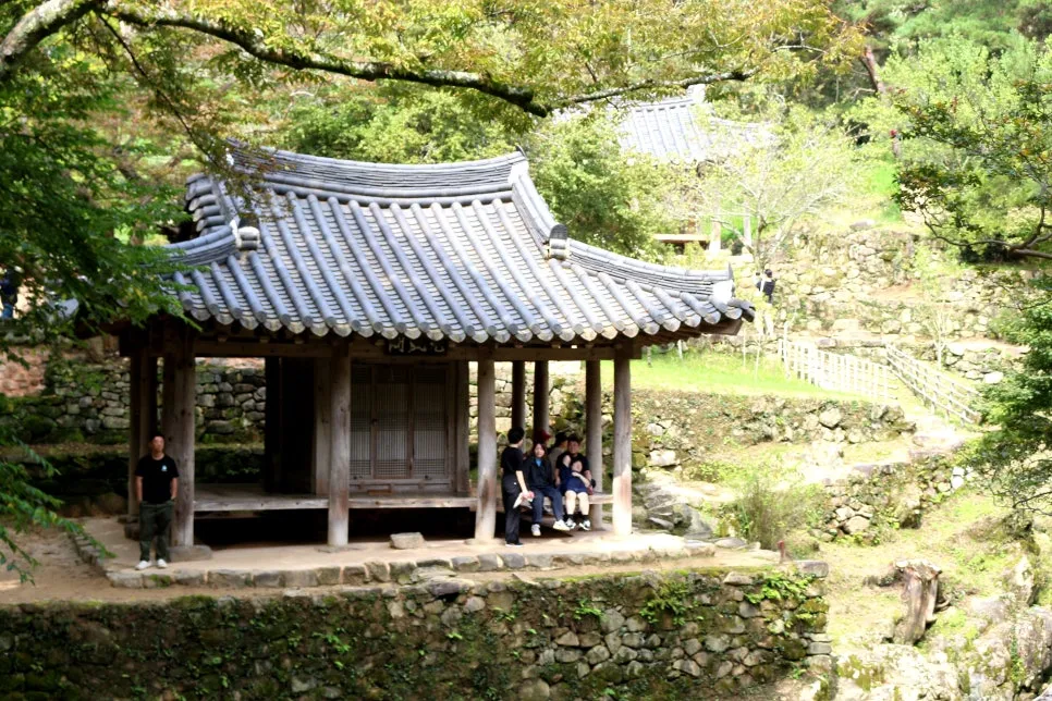 %EA%BE%B8%EB%AF%B8%EA%B8%B0IMG_6271.JPG?type=w966