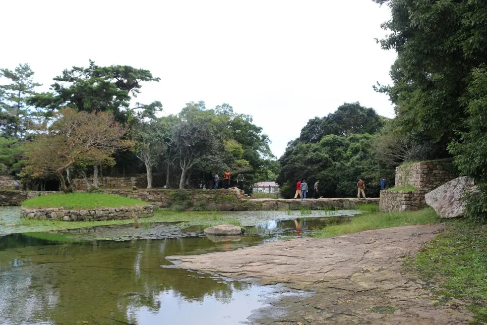 %EA%BE%B8%EB%AF%B8%EA%B8%B0%EA%BE%B8%EB%AF%B8%EA%B8%B0IMG_6625.JPG?type=w966