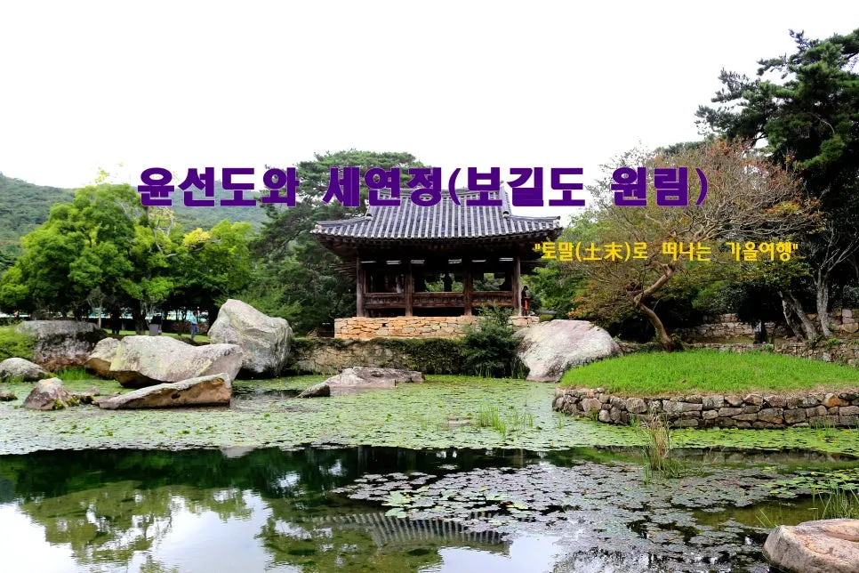 %EA%BE%B8%EB%AF%B8%EA%B8%B0%EA%BE%B8%EB%AF%B8%EA%B8%B0%EA%BE%B8%EB%AF%B8%EA%B8%B0IMG_6622.JPG?type=w966