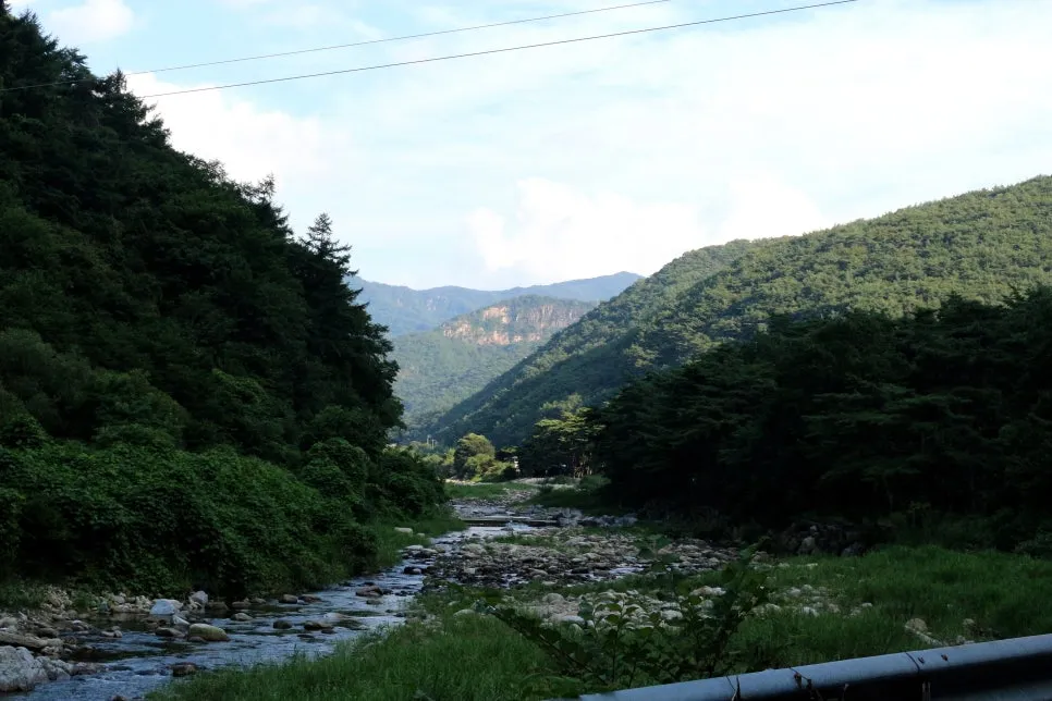 %EA%BE%B8%EB%AF%B8%EA%B8%B0%EA%BE%B8%EB%AF%B8%EA%B8%B0IMG_6141.JPG?type=w966