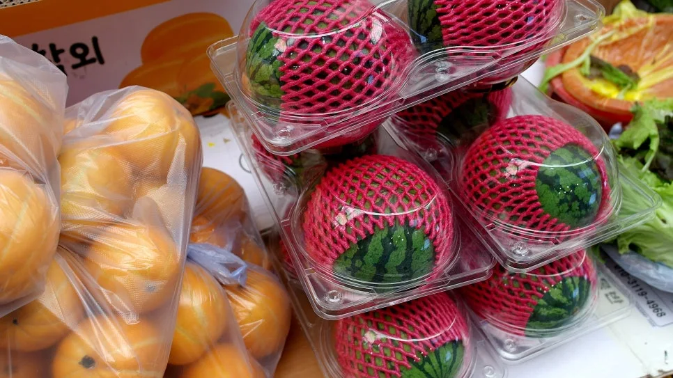 %EA%BE%B8%EB%AF%B8%EA%B8%B0%EA%BE%B8%EB%AF%B8%EA%B8%B0SAM_0158.JPG?type=w966