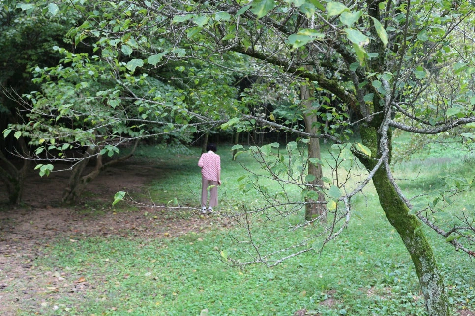 d1a116ea6b71fe30e9d8e2077bee6b283a5fdd38