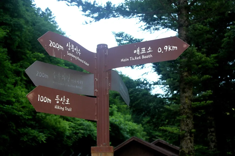 %EA%BE%B8%EB%AF%B8%EA%B8%B0%EA%BE%B8%EB%AF%B8%EA%B8%B0IMG_8653.JPG?type=w966