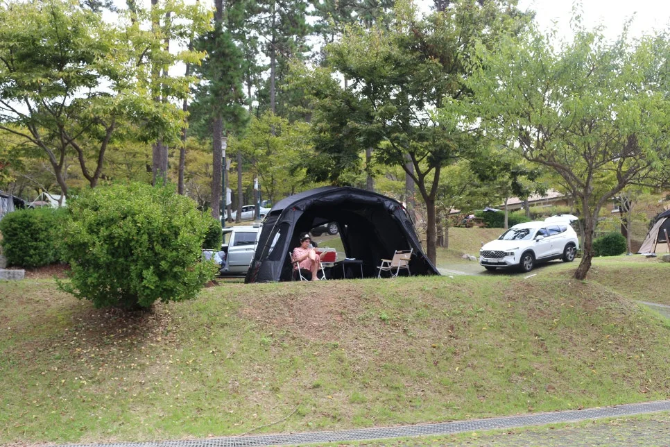 %EA%BE%B8%EB%AF%B8%EA%B8%B0%EA%BE%B8%EB%AF%B8%EA%B8%B0IMG_6435.JPG?type=w966