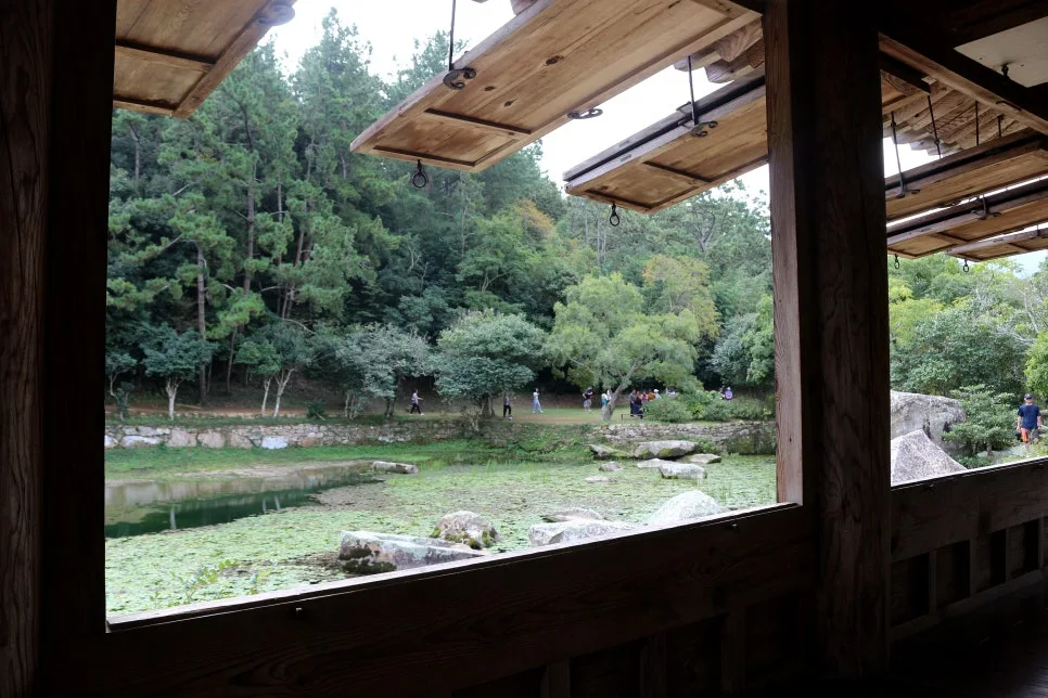 %EA%BE%B8%EB%AF%B8%EA%B8%B0%EA%BE%B8%EB%AF%B8%EA%B8%B0IMG_6598.JPG?type=w966